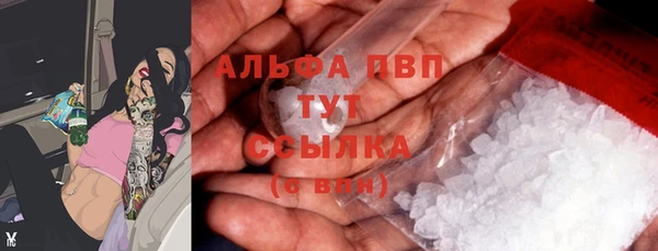 дмт Ладушкин