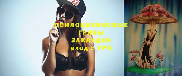 дмт Ладушкин