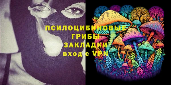дмт Ладушкин