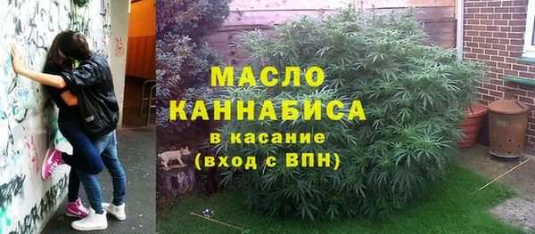 дмт Ладушкин