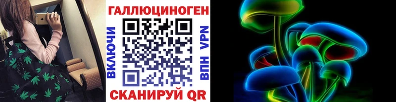 даркнет сайт  Светлоград  Галлюциногенные грибы Psilocybe 