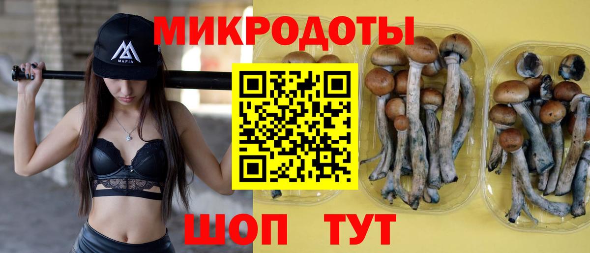 Псилоцибиновые грибы мицелий  Вход с VPN  Светлоград  Галлюциногенные грибы мицелий 