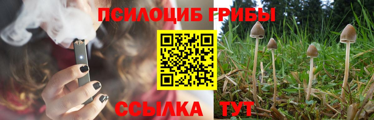 Псилоцибиновые грибы Magic Shrooms Светлоград