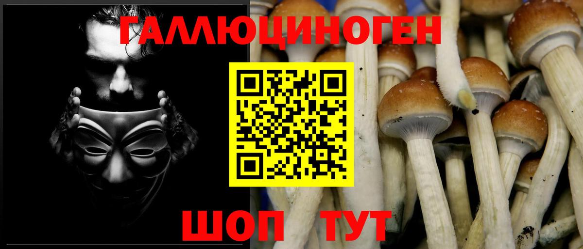 МЕФ кристаллы  ГАШИШ  LSD-25  Светлоград  COCAIN  Вход с VPN 